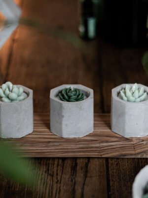 IMG_0283 Le Trio urbain